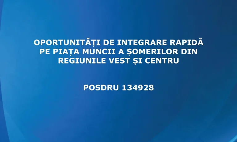 POSDRU 134928