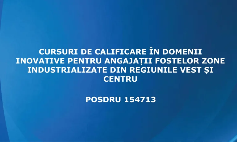 POSDRU 154713